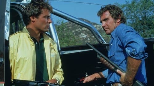 Ein Colt für alle Fälle Bild 1