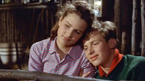 Die Mädels vom Immenhof Bild 2