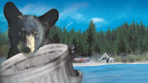 Yellowstone Cubs Bild 5