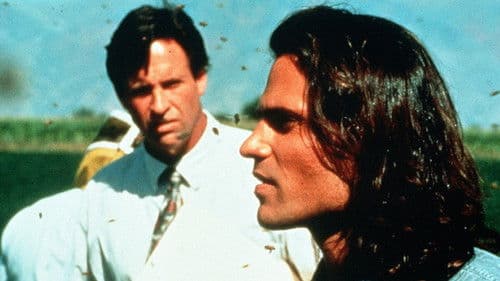 Angriff der Killerbienen Bild 1