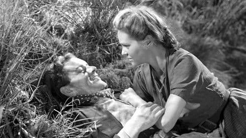 Painted Boats Bild 1