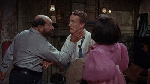 Das alte finstere Haus Bild 6