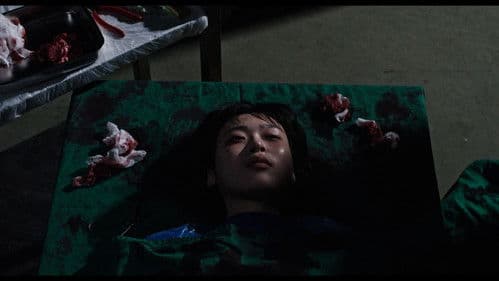 How to Kill a Vampire Bild 1