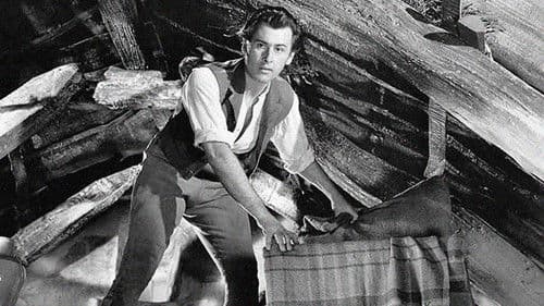 Captain Boycott Bild 1