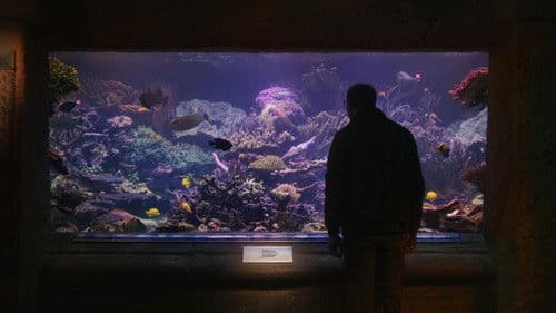 Relaxing Old Footage With Joe Pera Bild 1