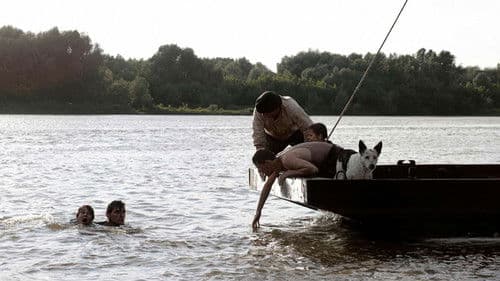 Ciotka Hitlera Bild 7