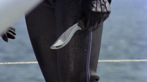 Neun Gäste für den Tod Bild 8