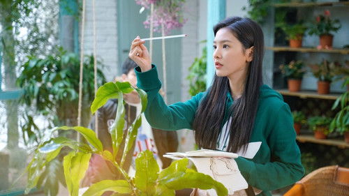 谁都渴望遇见你 Bild 2