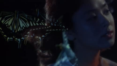 白い肌の狩人　蝶の骨 Bild 2