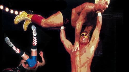 WCW Slamboree 1996 Bild 1