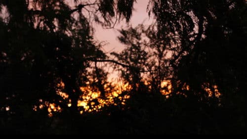 Soñando Martín Bild 6