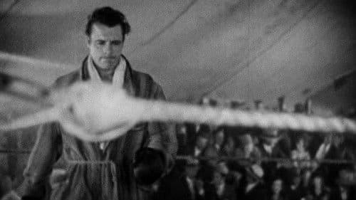 The Shakedown Bild 3