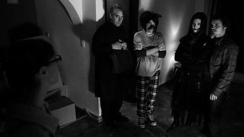 La noche del chihuahua Bild 1