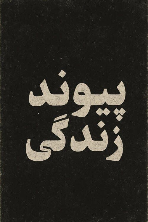 پیوند زندگی