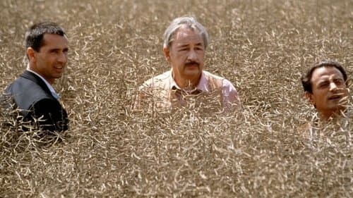 Tango Mortale Bild 1