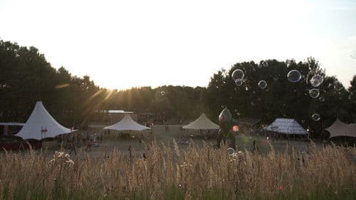 All Creatures Welcome Bild 3