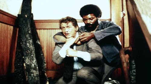 Was nützt dem toten Hund ein Beefsteak? Bild 2