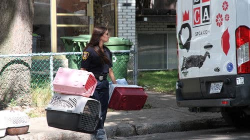 SPCA en action Bild 5