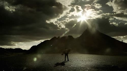 Tigres de noche, arena de día Bild 1