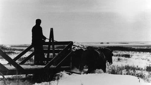 Northern Lights Bild 1