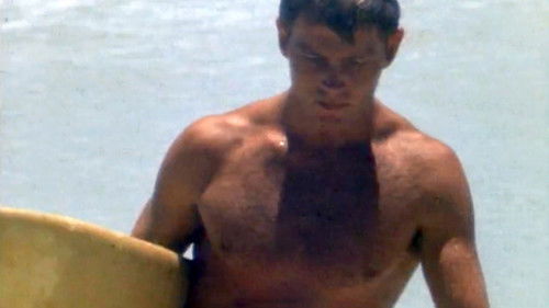 Surfing Hollow Days Bild 5