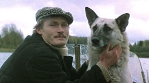 Ошибки юности Bild 3