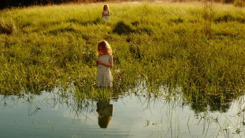 Brennende Sonne Bild 6