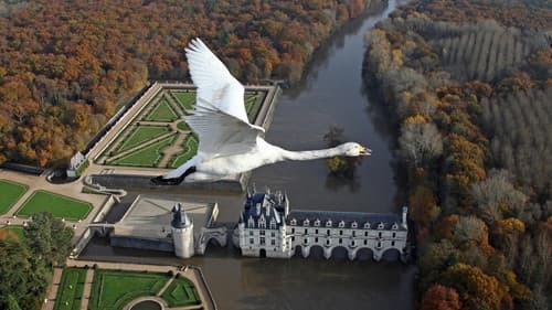 Wildes Frankreich Bild 2