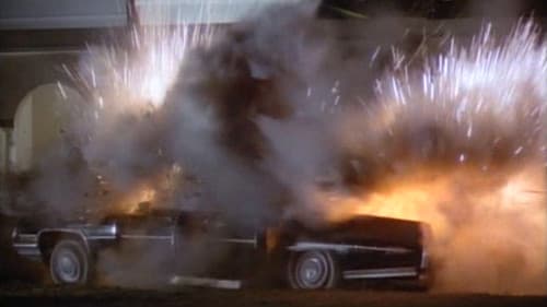 American Eagle Bild 2