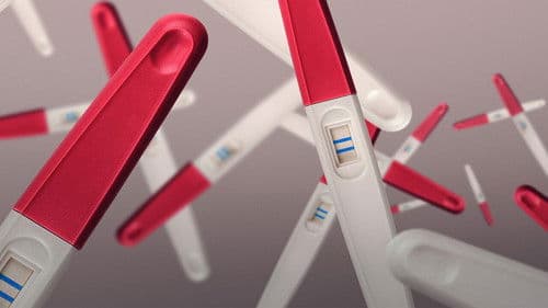 Der Mann mit 1000 Kindern Bild 6