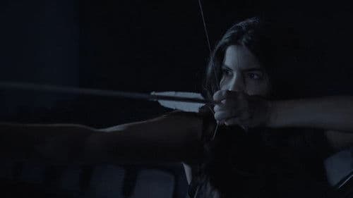 The First Dawn Bild 1