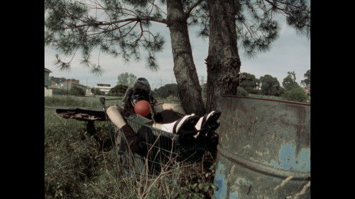 Oxímora Vida... Bild 2