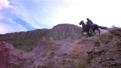 La gran aventura del Zorro Bild 3