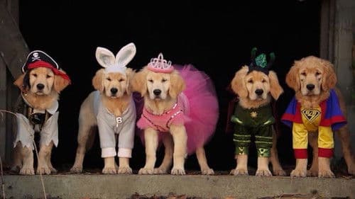 Spooky Buddies - Der Fluch des Hallowuff-Hunds Bild 2