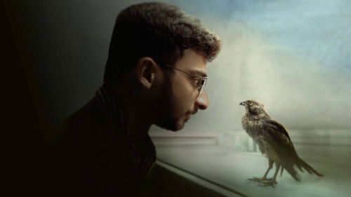 All That Breathes Bild 3