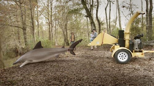 Summer Shark Attack Bild 5