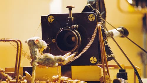 Endstation: Paradies Bild 1