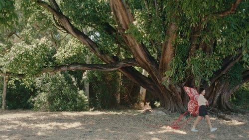 To Fly a Kite Bild 4