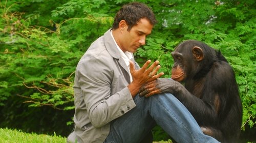 Caras & Bocas Bild 1