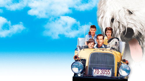 Der unheimliche Zotti Bild 7