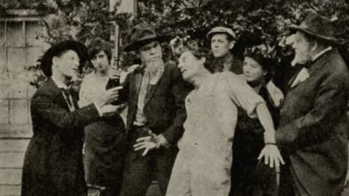 Mr. Dolan of New York Bild 1