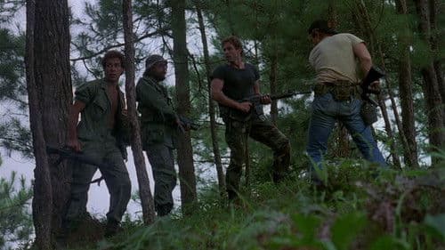 Force Commando Bild 8