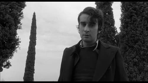 El desencanto Bild 2