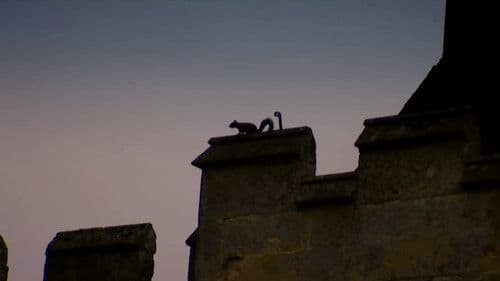 Crisis at the Castle Bild 1