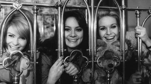 Die Goldpuppen Bild 2