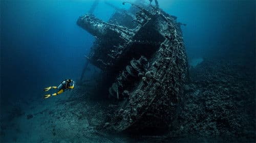 Deep Sea Detectives Bild 1