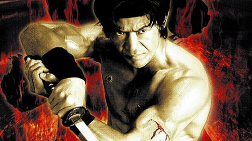 Shadow of the Dragon Bild 1