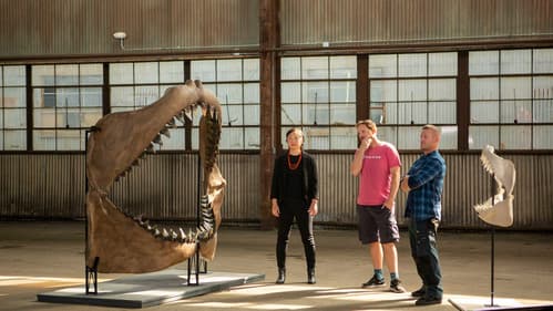 Jaws vs. the Meg Bild 1