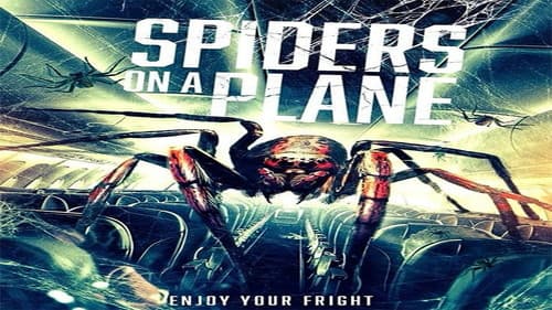 Spiders on a Plane Bild 1