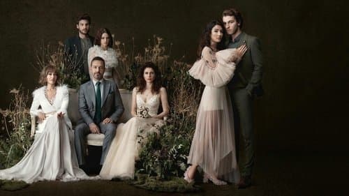 Şahin Tepesi Bild 1